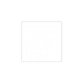 Płytka gresowa biała Toronto White mat 60x60 R